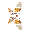 Wings of Guardian