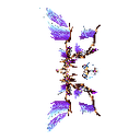 Wings of Wisdom